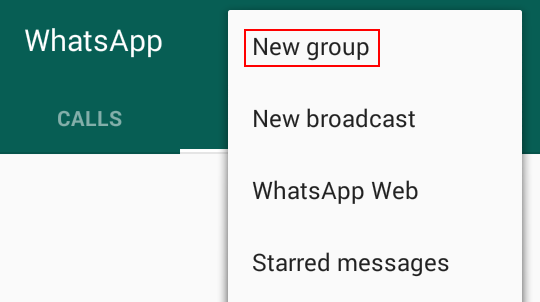 Whatsapp new Group chat