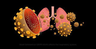 Penyakit novel Corona virus ncov