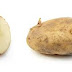 Dry potato fever protects from intestinal cancer