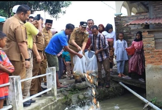 Bupati Pasaman Sabar AS,  lepas bibit ikan larangan