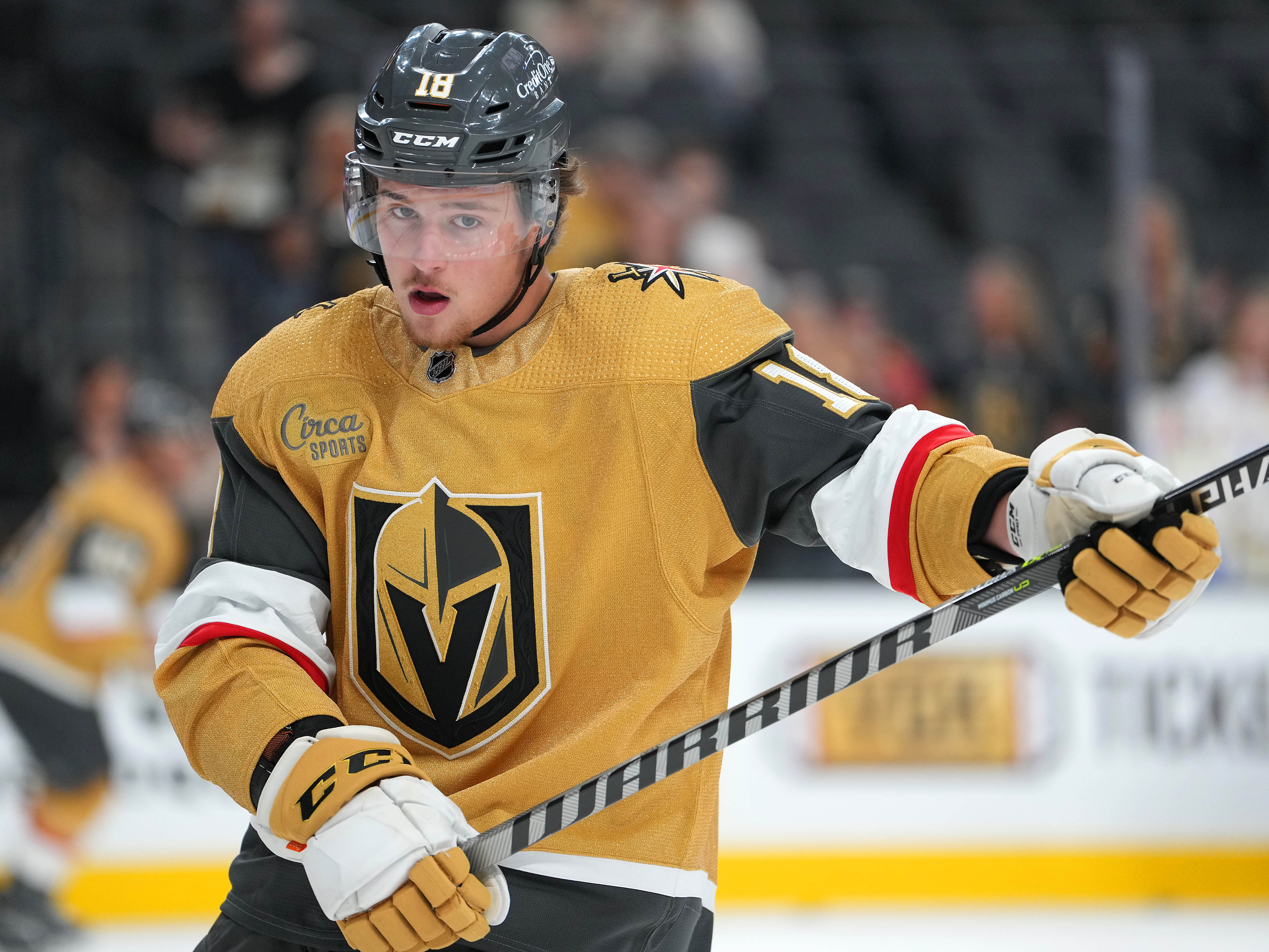 2 Vegas Golden Knights Who Could Be Traded Before 2023-24 Season - NHL  Trade Rumors 