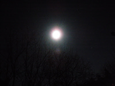 We took advantage of a few clear nights last week to view the moon and stars