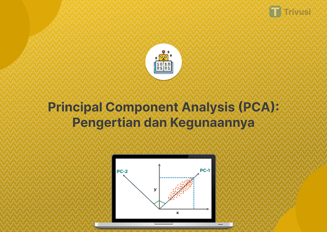 Principal Component Analysis (PCA): Pengertian dan Kegunaannya