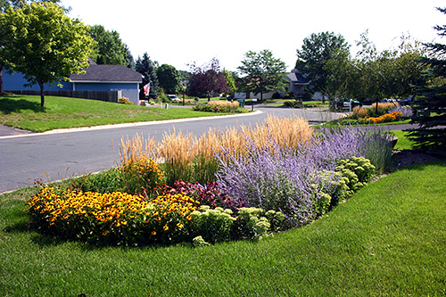 Gallery Home Design Ideas: Rain Garden Plants: Designed To Use The ...