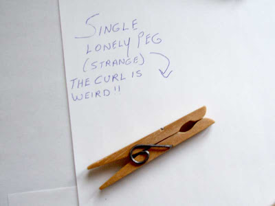 Poor, lonely, weird clothes peg!