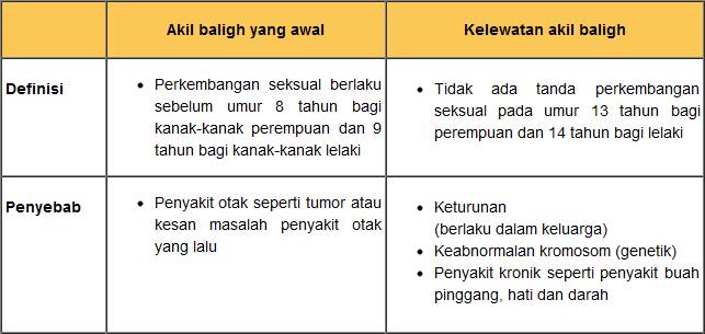 Akil Baligh Seorang Remaja - Info Sihat  Blog Budak Jahat