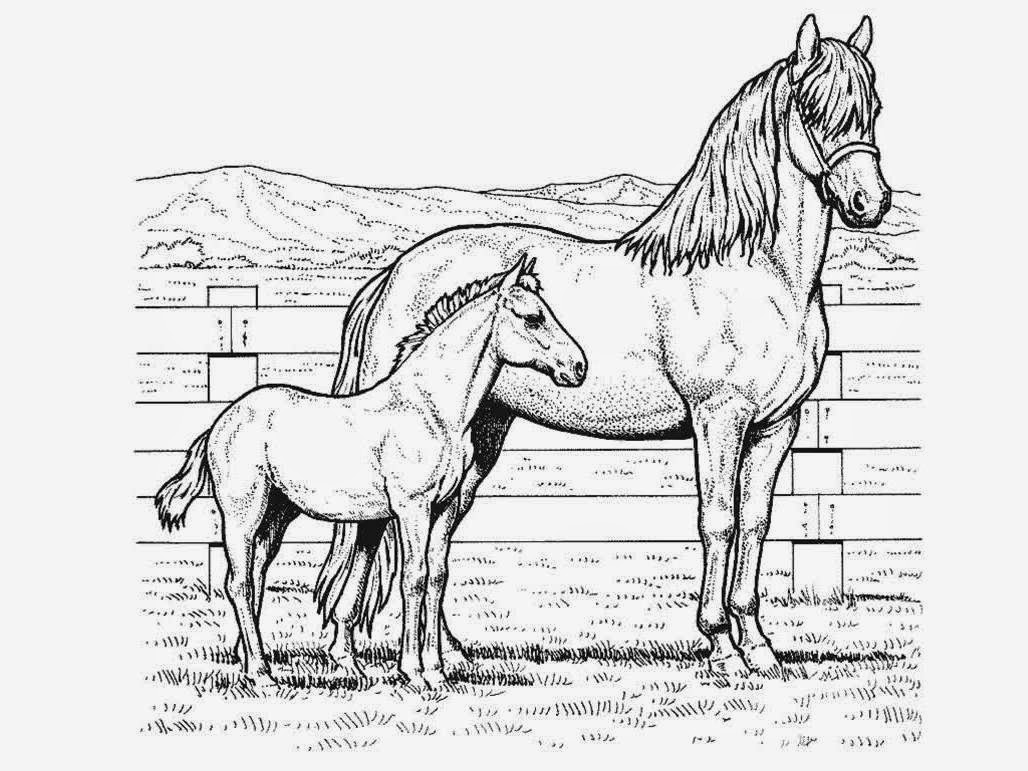 Coloring Pages For Kids Horse 7