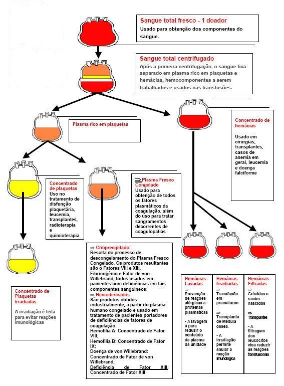 *: Doação de Sangue (Campanha Agosto 2010)