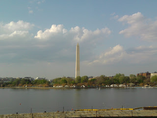 DC Cherry Blossoms