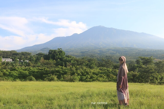 Bukit Teletubis