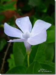 P1080029