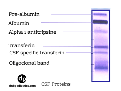 CSF electrophoresis