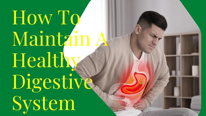 Gut Health 101: Why and How to Cleanse Your Digestive System