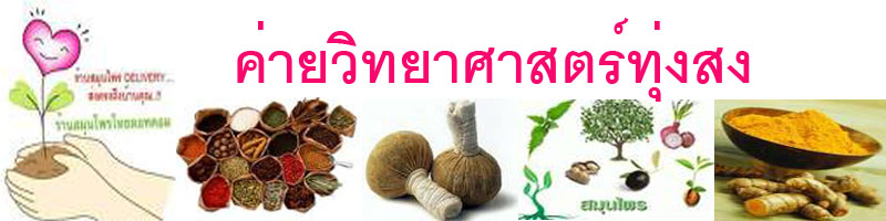ค่ายวิทยาศาตร์_ทุ่งสง