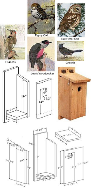 Owl Birdhouse Plans
