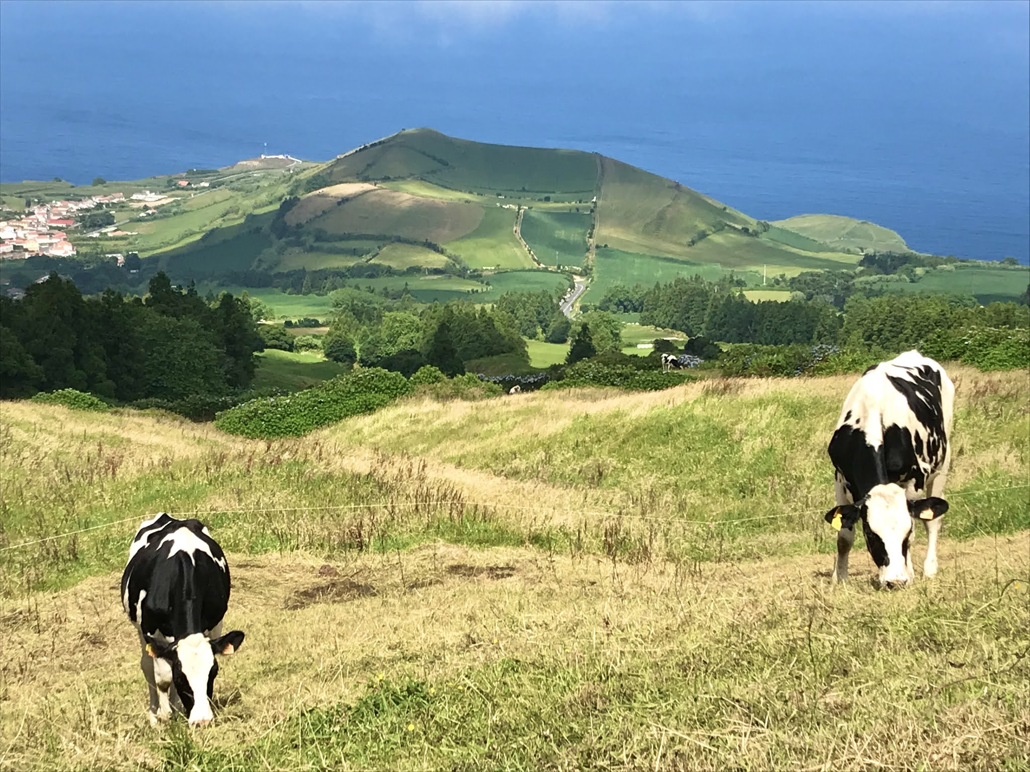 Miguel, Açores, Portugal, Azores