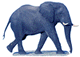 gajah