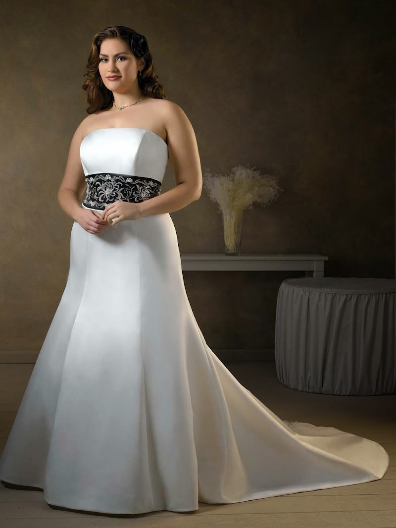 51+ Affordable Wedding Dresses For Plus Size, Important Inspiraton!