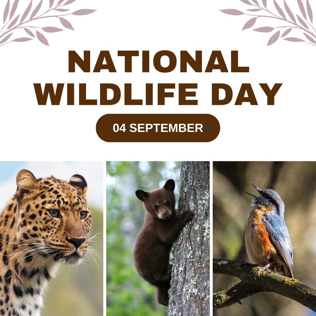 national wildlife day 2024
