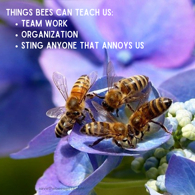 Save Bees Memes