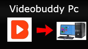 Videobuddy Pc