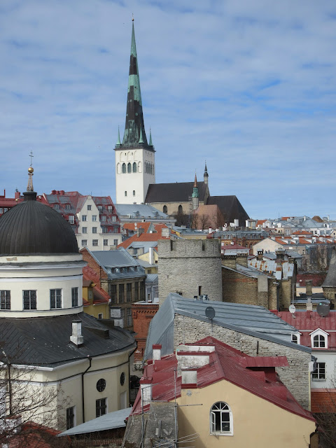 Tallinn The Wandering Juan