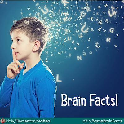 Brain Facts: here are several interesting facts about the brain, including some ideas on how to keep the brain healthy.