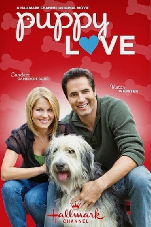 Regarder Un amour de chien 2012 Film Complet En Francais