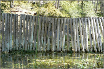 Valla que impide la entrada por el Río Escabas a El Hosquillo