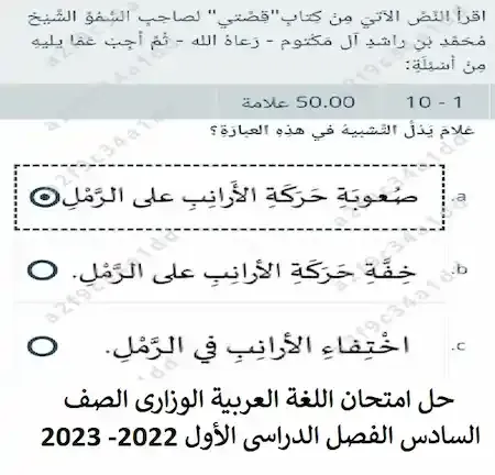 حل امتحان اللغة العربية الوزارى الصف السادس الفصل الدراسى الأول 2022- 2023