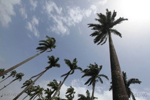 IMG_9709