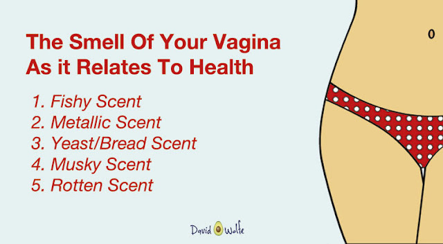 The Vagina – Should It Smell This Way?