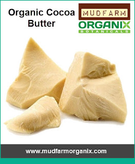 Organic Edible Cocoa Butter