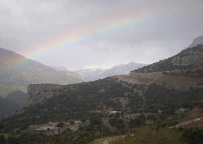 Διάκος 30-1-10 003