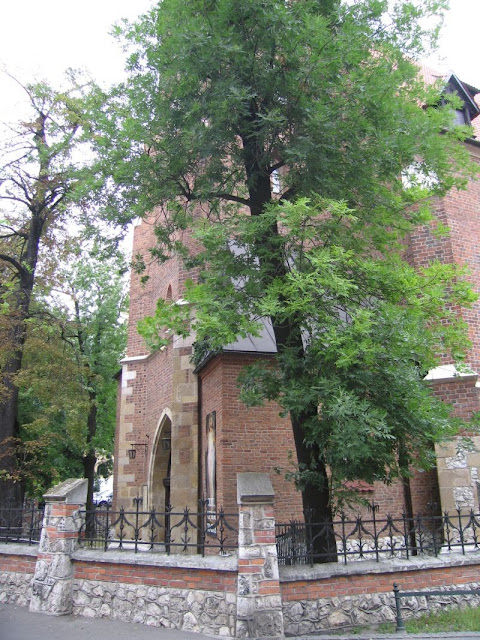 kościół św. krzyża w krakowie