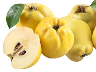 Quince Fruit Pictures