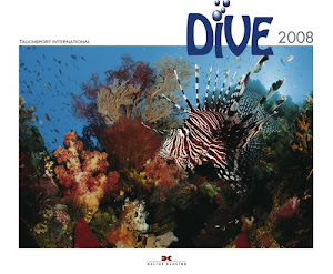 Dive 2008
