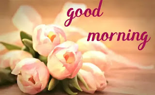 Beautiful good morning wishes