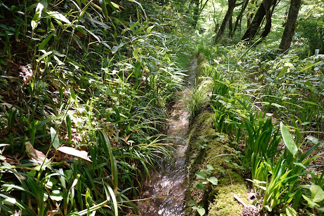 鳥取県西伯郡大山町大山　排水路の風景