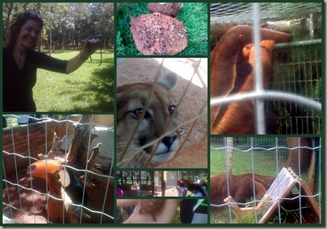 FAZENDA ZOO 3