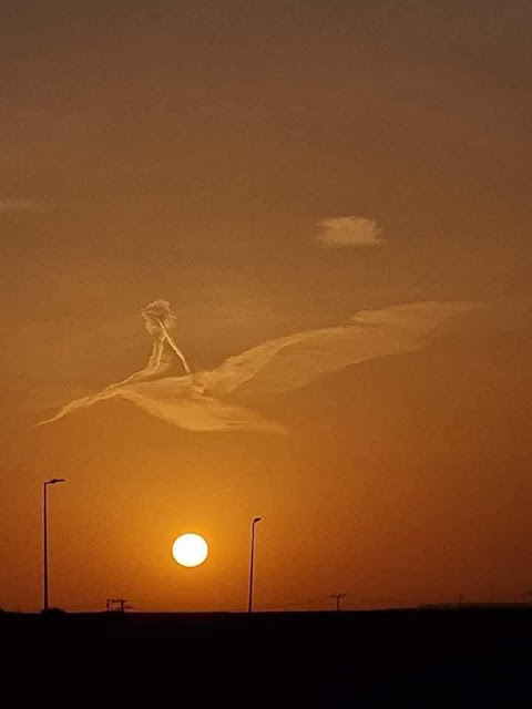 طفل على ظهر طير فوق الرياض يشغل السعوديين