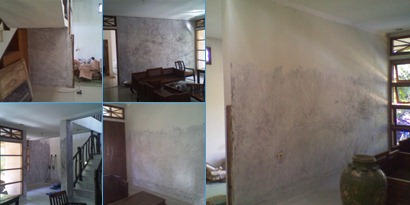 View album