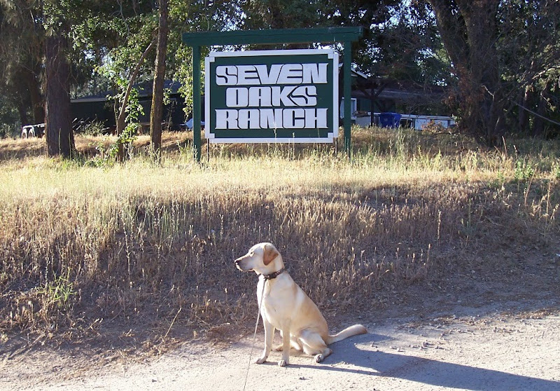 cabana sitting on a driveway in front of a green and white sign that says Seven Oaks Ranch