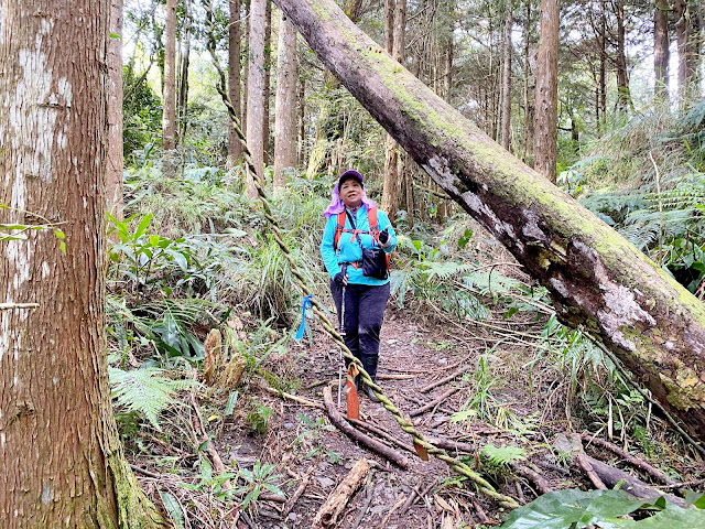 留佐屯山下山