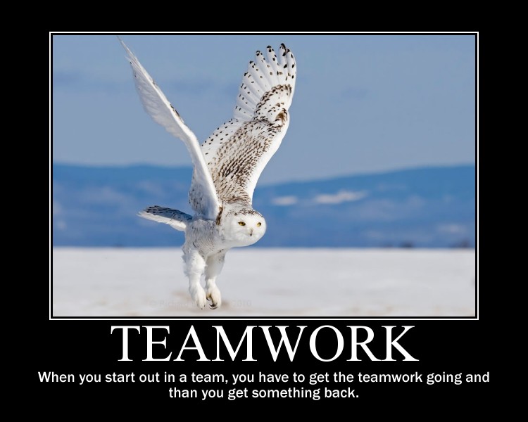 Teamwork Quotes