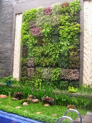 Tukang taman Suarabaya Gambar Vertical Garden (Living Wall, Green Wall/Taman Vega) Teks alternatif