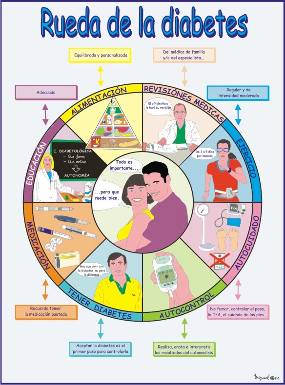 Qué Es La Diabetes Mellitus | Vivir Sin La Diabetes