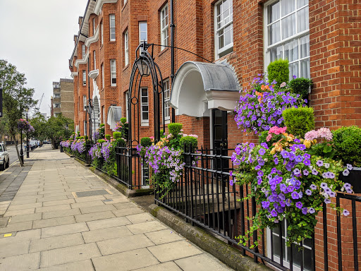 A flower-lined street in Westminster