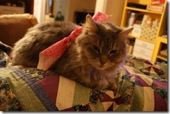 tinywalletfeb-8-11 063