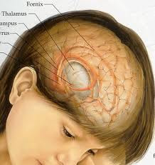 brain cancer treatment symptoms